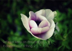 dreams r 4 real